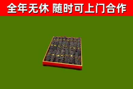 皮山回收海参